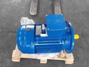 Động cơ chân đế Elecktrim EM90L-4 1.5Kw